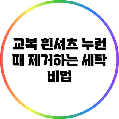 교복 흰셔츠 누런 때 제거하는 세탁 비법