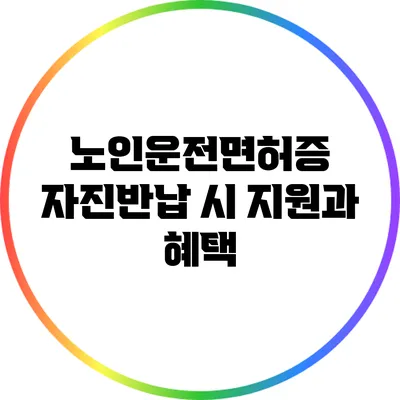 노인운전면허증 자진반납 시 지원과 혜택