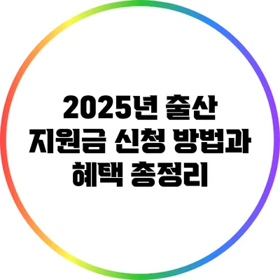 2025년 출산 지원금 신청 방법과 혜택 총정리