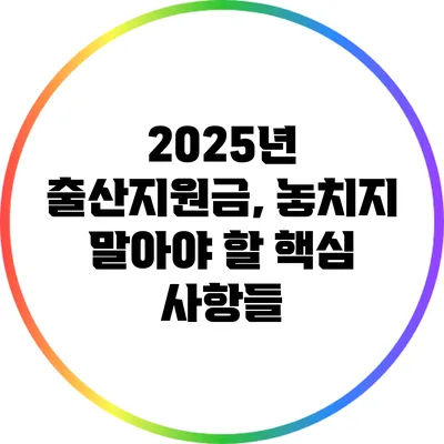 2025년 출산지원금, 놓치지 말아야 할 핵심 사항들