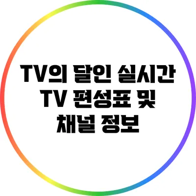TV의 달인: 실시간 TV 편성표 및 채널 정보