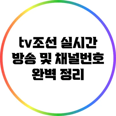 tv조선 실시간 방송 및 채널번호 완벽 정리