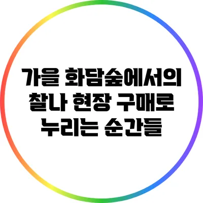가을 화담숲에서의 찰나: 현장 구매로 누리는 순간들