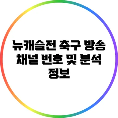 뉴캐슬전 축구 방송 채널 번호 및 분석 정보