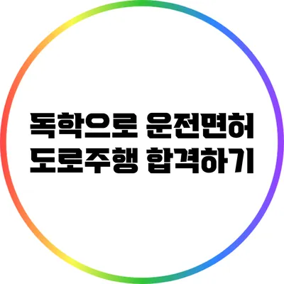 독학으로 운전면허 도로주행 합격하기