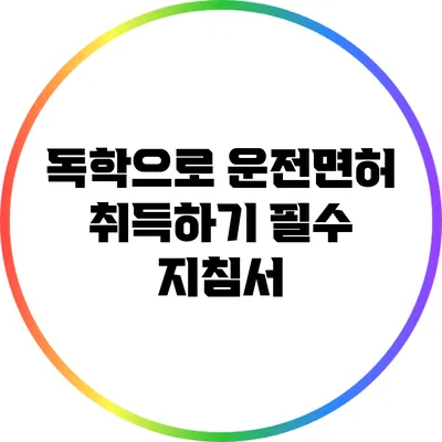 독학으로 운전면허 취득하기: 필수 지침서