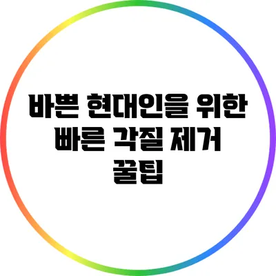 바쁜 현대인을 위한 빠른 각질 제거 꿀팁