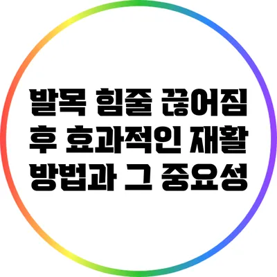 발목 힘줄 끊어짐 후 효과적인 재활 방법과 그 중요성