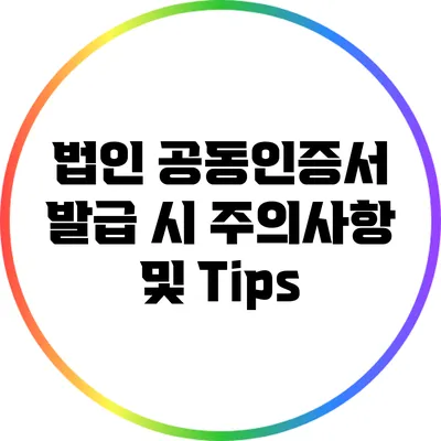 법인 공동인증서 발급 시 주의사항 및 Tips