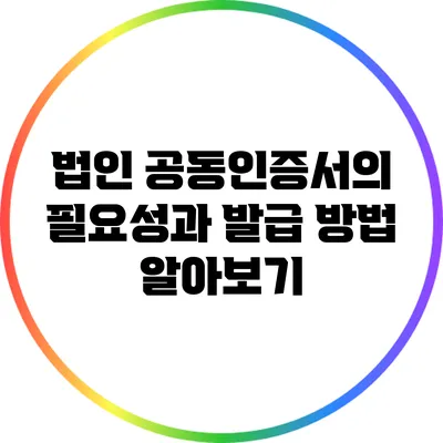 법인 공동인증서의 필요성과 발급 방법 알아보기