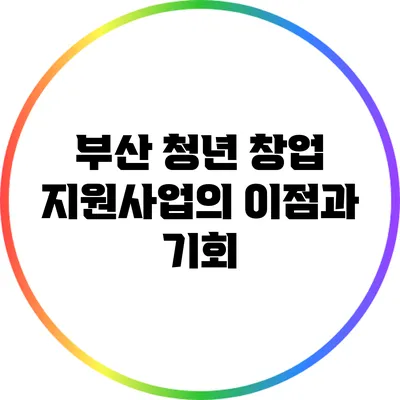 부산 청년 창업 지원사업의 이점과 기회