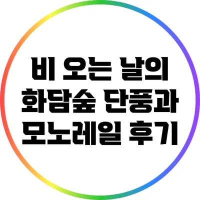 비 오는 날의 화담숲: 단풍과 모노레일 후기