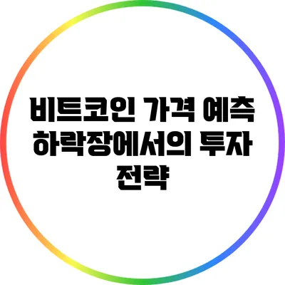 비트코인 가격 예측: 하락장에서의 투자 전략