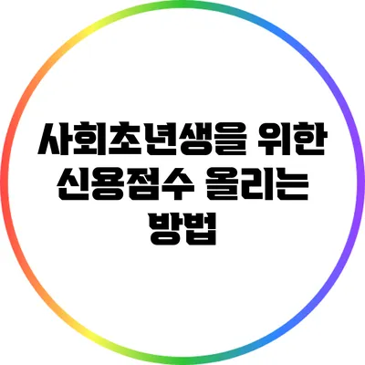 사회초년생을 위한 신용점수 올리는 방법