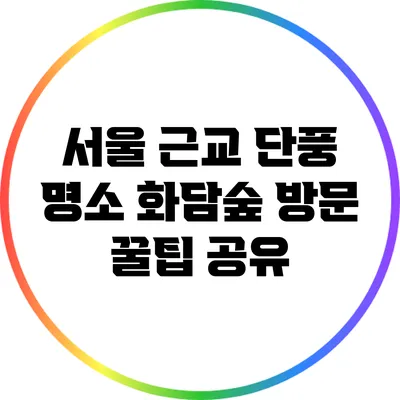 서울 근교 단풍 명소: 화담숲 방문 꿀팁 공유