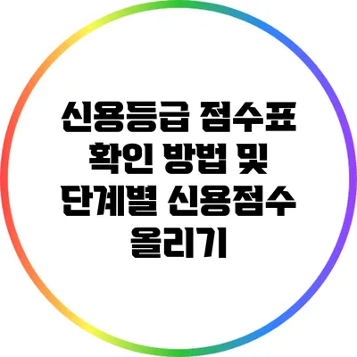 신용등급 점수표 확인 방법 및 단계별 신용점수 올리기
