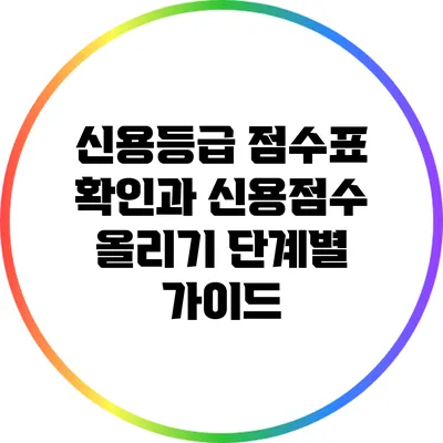 신용등급 점수표 확인과 신용점수 올리기 단계별 가이드