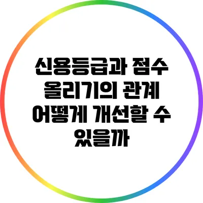신용등급과 점수 올리기의 관계: 어떻게 개선할 수 있을까?