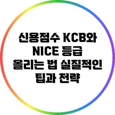 신용점수 KCB와 NICE 등급 올리는 법: 실질적인 팁과 전략