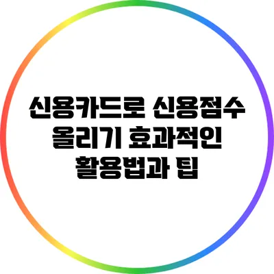 신용카드로 신용점수 올리기: 효과적인 활용법과 팁