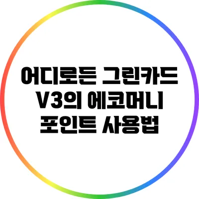 어디로든 그린카드 V3의 에코머니 포인트 사용법