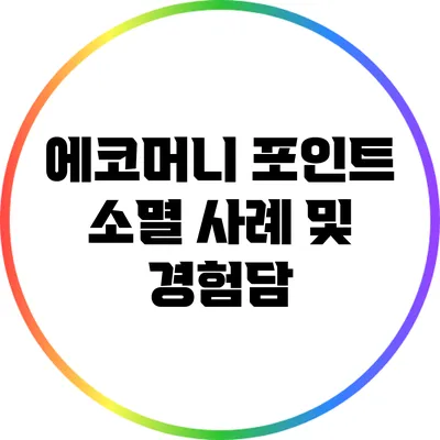 에코머니 포인트 소멸 사례 및 경험담