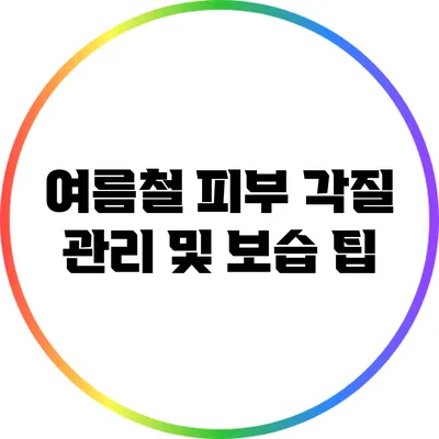 여름철 피부 각질 관리 및 보습 팁