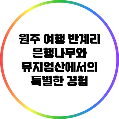 원주 여행: 반계리 은행나무와 뮤지엄산에서의 특별한 경험