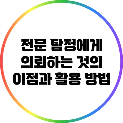 전문 탐정에게 의뢰하는 것의 이점과 활용 방법