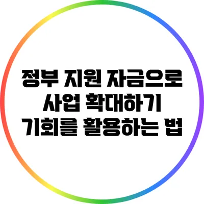 정부 지원 자금으로 사업 확대하기: 기회를 활용하는 법