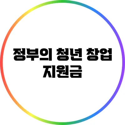 정부의 청년 창업 지원금
