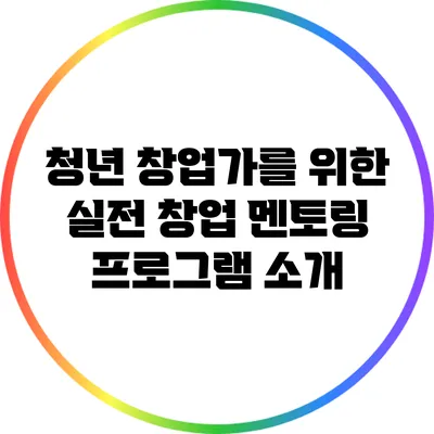 청년 창업가를 위한 실전 창업 멘토링 프로그램 소개
