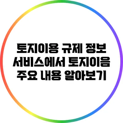 토지이용 규제 정보 서비스에서 토지이음 주요 내용 알아보기