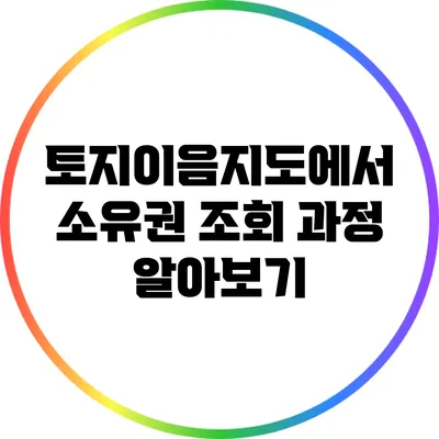 토지이음지도에서 소유권 조회 과정 알아보기