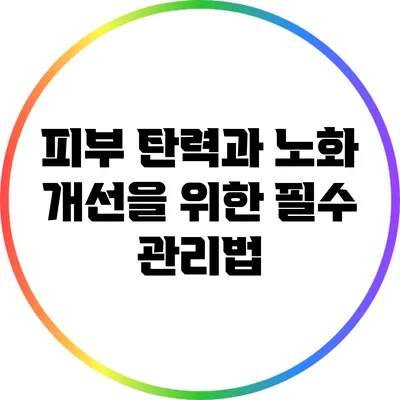 피부 탄력과 노화 개선을 위한 필수 관리법