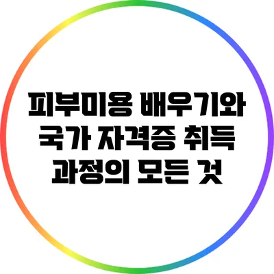 피부미용 배우기와 국가 자격증 취득 과정의 모든 것