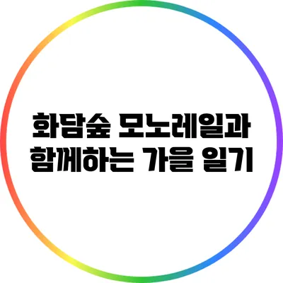 화담숲 모노레일과 함께하는 가을 일기