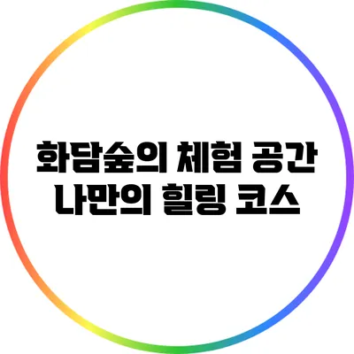 화담숲의 체험 공간: 나만의 힐링 코스