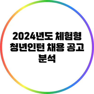 2024년도 체험형 청년인턴 채용 공고 분석