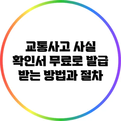교통사고 사실 확인서 무료로 발급 받는 방법과 절차