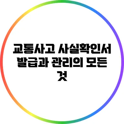 교통사고 사실확인서 발급과 관리의 모든 것