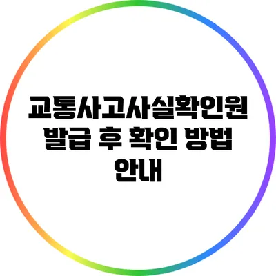 교통사고사실확인원 발급 후 확인 방법 안내