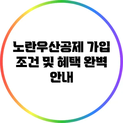 노란우산공제 가입 조건 및 혜택 완벽 안내