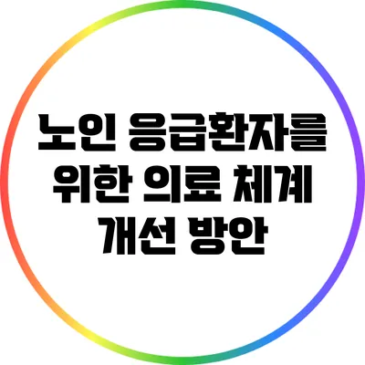 노인 응급환자를 위한 의료 체계 개선 방안