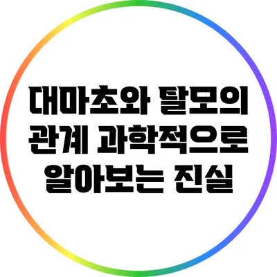 대마초와 탈모의 관계: 과학적으로 알아보는 진실