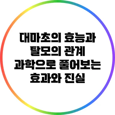 대마초의 효능과 탈모의 관계: 과학으로 풀어보는 효과와 진실