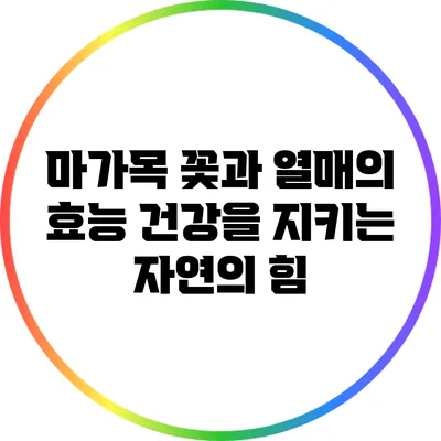 마가목 꽃과 열매의 효능: 건강을 지키는 자연의 힘