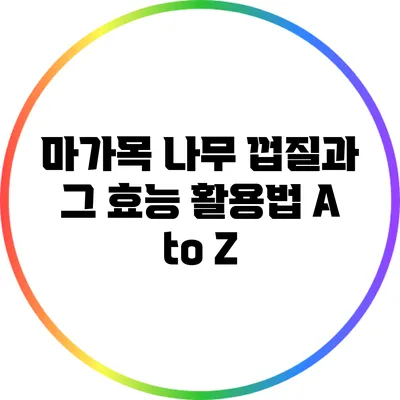 마가목 나무 껍질과 그 효능: 활용법 A to Z