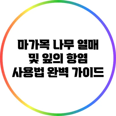 마가목 나무 열매 및 잎의 항염 사용법 완벽 가이드