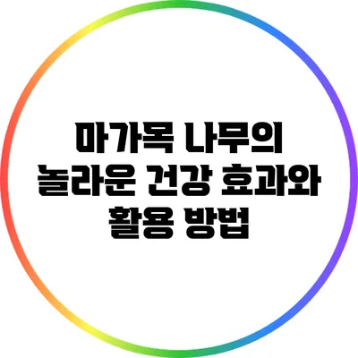 마가목 나무의 놀라운 건강 효과와 활용 방법